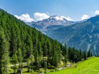 Ausblick zum Ruthner Horn - Rein in Taufers